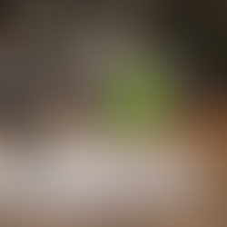 OFICIAL: Globo anuncia Tadeu Schmidt como novo apresentador do BBB