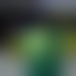 Skate, Judô e Vôlei derrotam o futebol no ibope