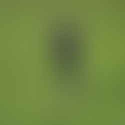 XSports goleia a Band com jogo eliminatório da Copinha