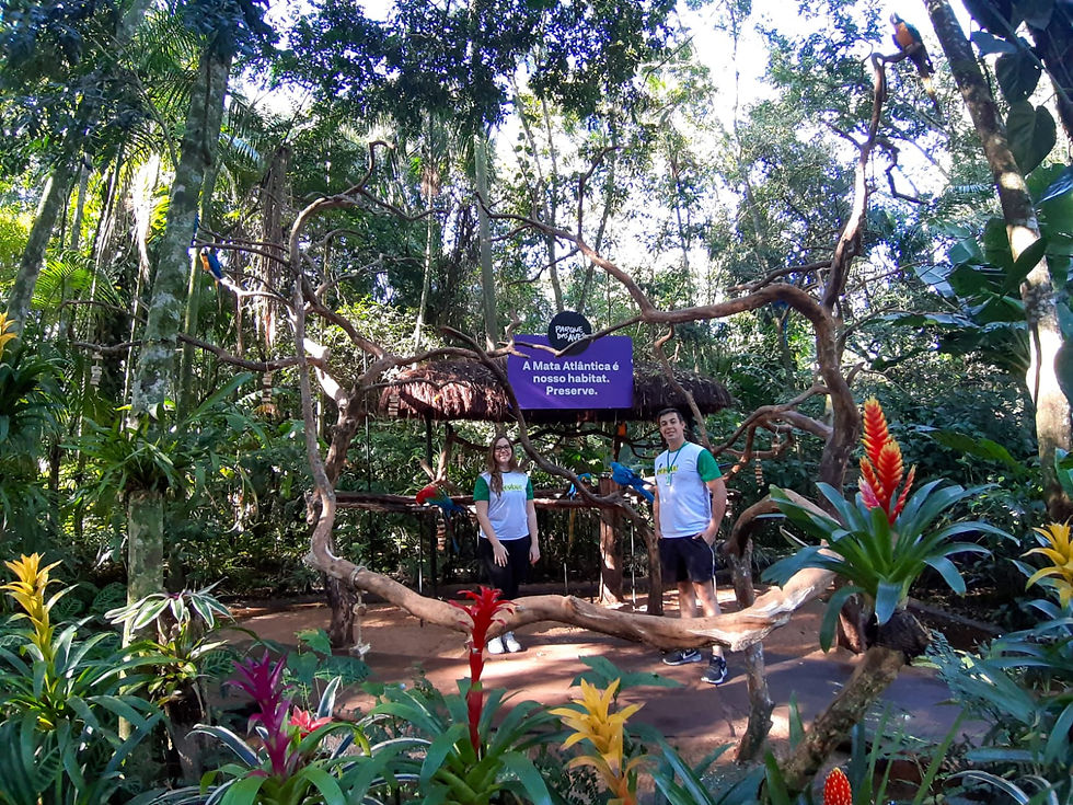 Miniatura: Foz do Iguaçu/PR