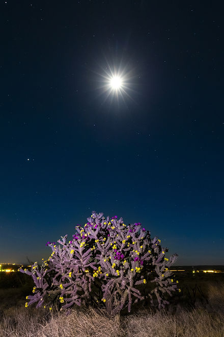 AdobeStock_207184916.jpeg