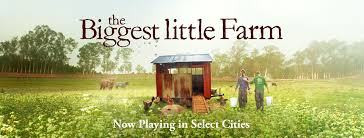 biggestfarm