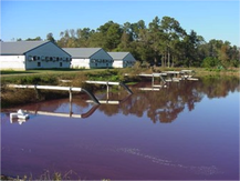 http://4.bp.blogspot.com/-uD86Ccardnk/TvDuI-pR_UI/AAAAAAAAAB4/eLLYatFBz1g/s1600/lagoon.png