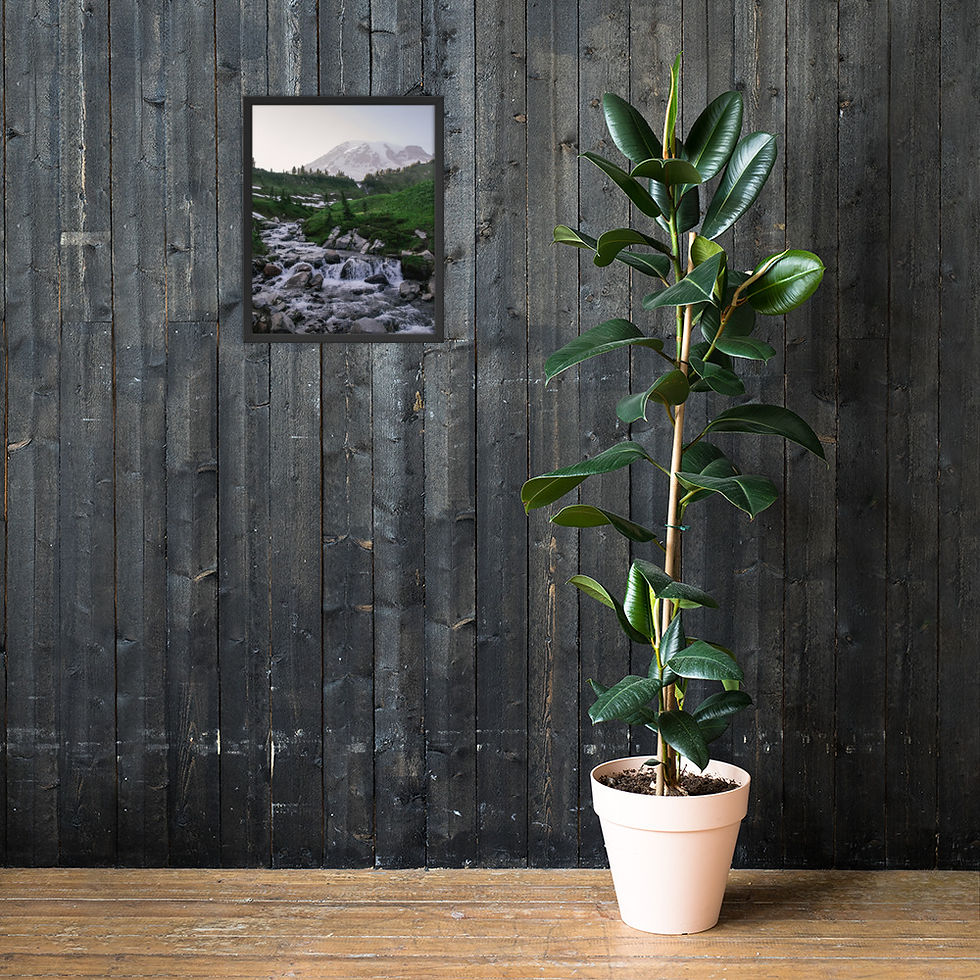 Thumbnail: Rainier in Paradise Framed Fine Art Print