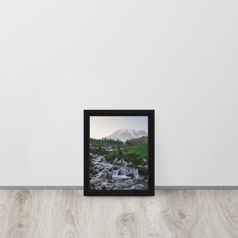 Thumbnail: Rainier in Paradise Framed Canvas