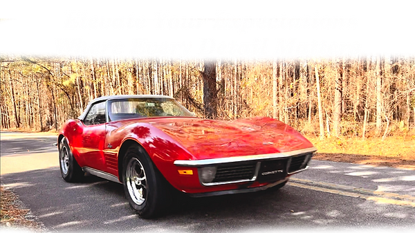 vette.png