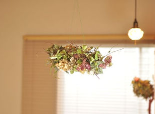 フライングリース専門店 | ふくことカフェ | flying wreath