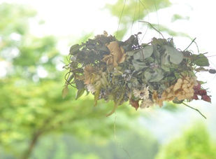 フライングリース専門店 | ふくことカフェ | flying wreath