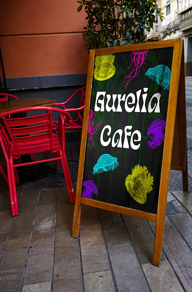 Screen Shot 2024-04-09 at 10.30.29 PM.png