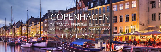FENS satellite