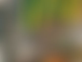 Alunos da CSOL são destaque no Concurso Canguru de Matemática