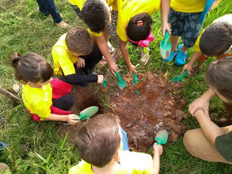 CSOL realiza projeto Sustentabilidade neste sábado (21)
