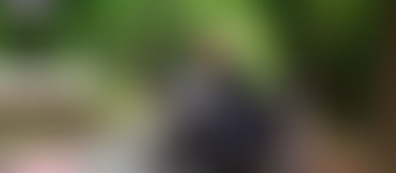 Bike on rent in Delhi NCR