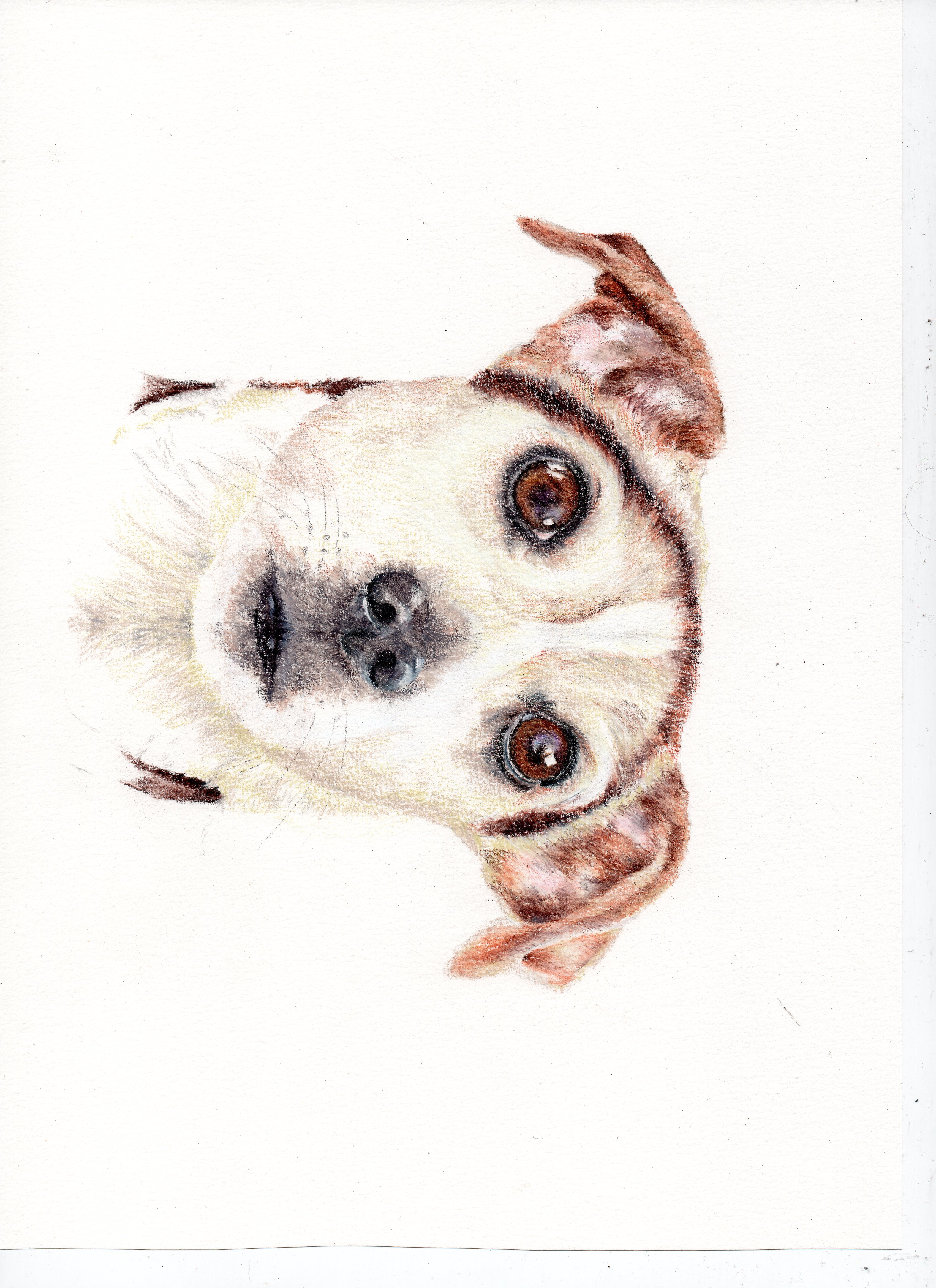 Buster
