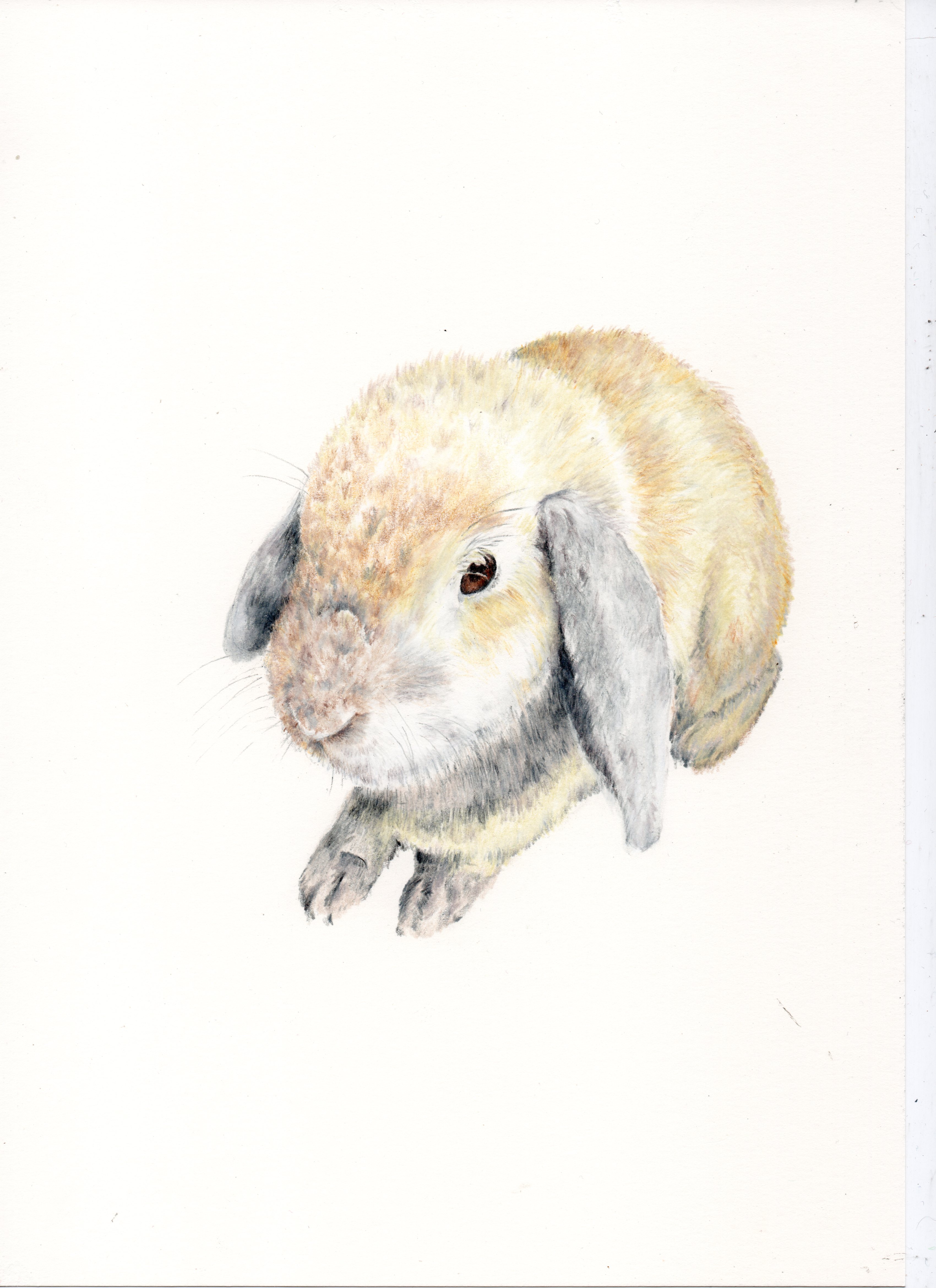 Smudge