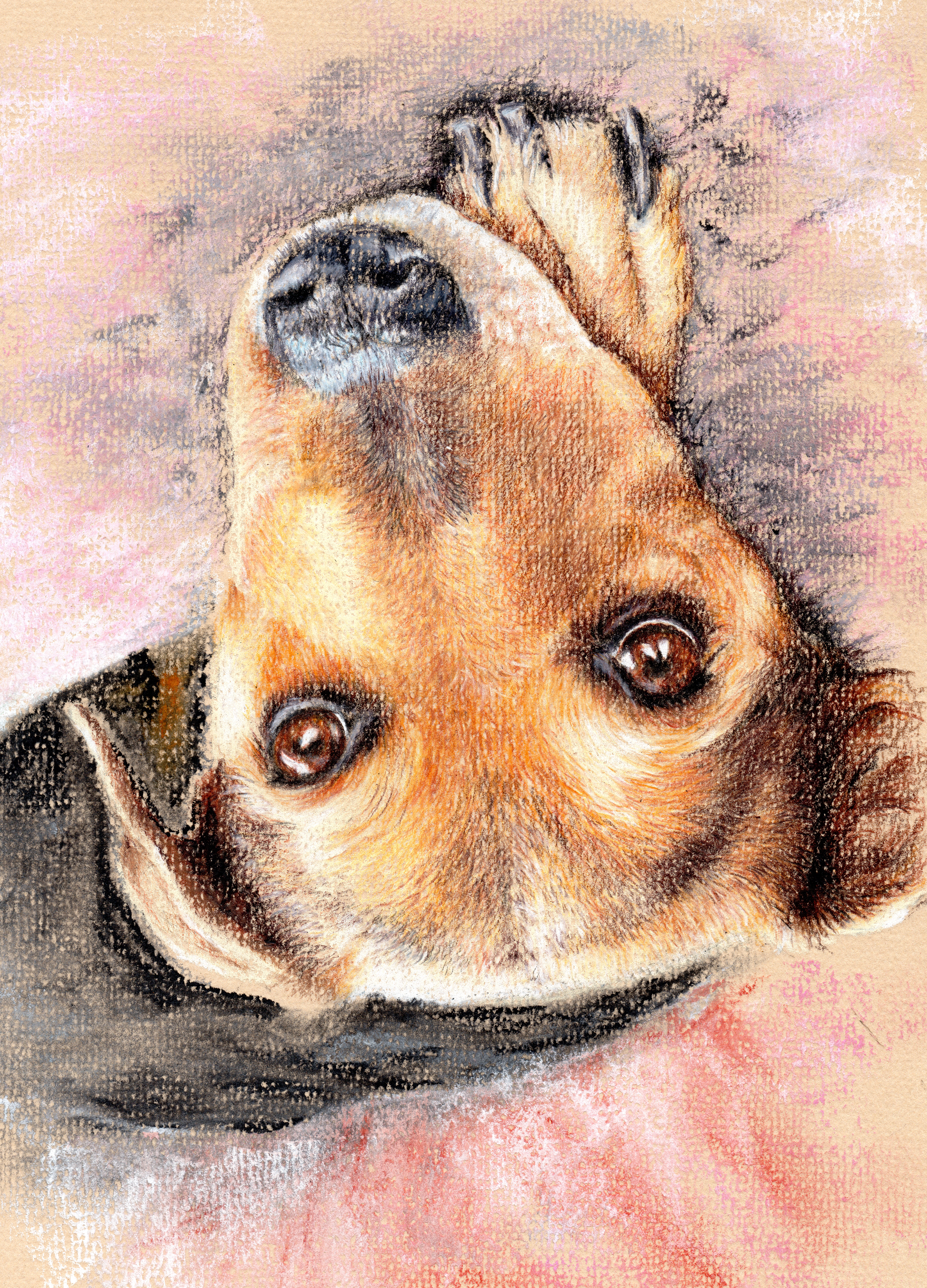 Sadie