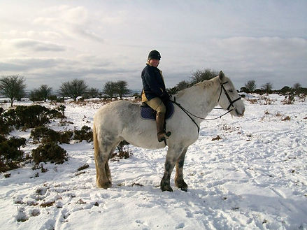 Horse riding in Cornwall