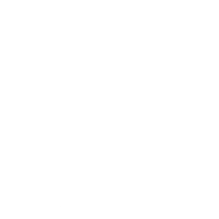 Website Graphic_white circle.png