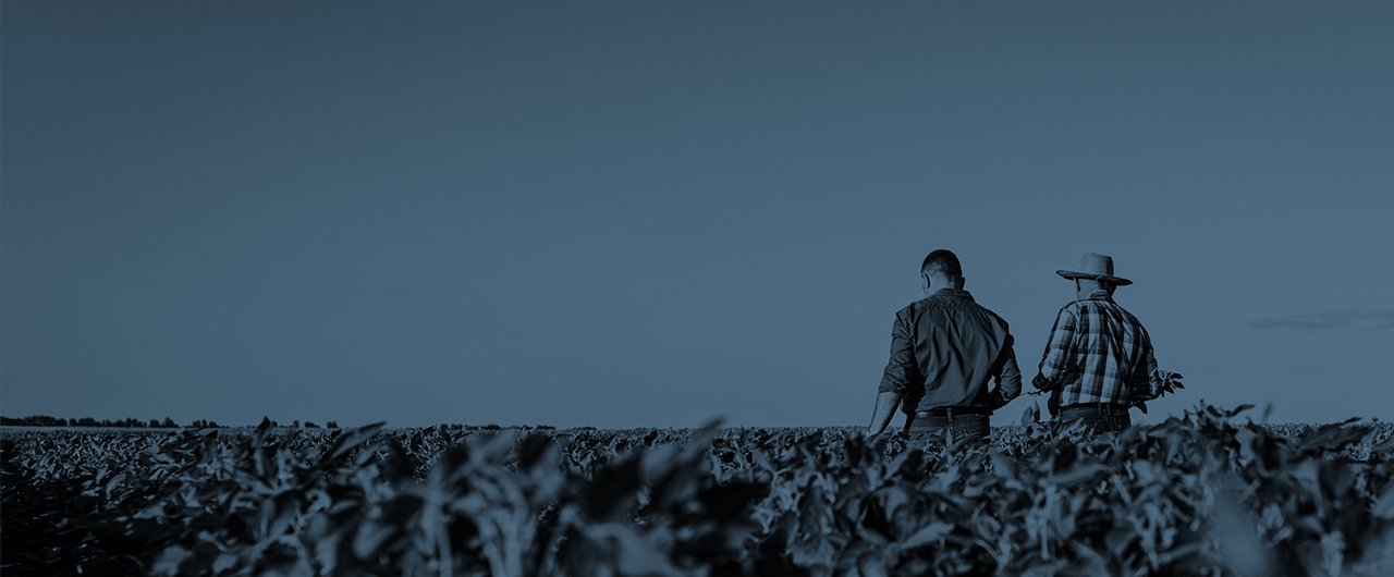Serives we Offer Header_New.png