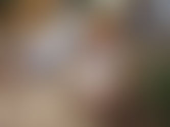 段ボールそり❣