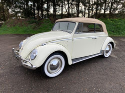 white vw beetle