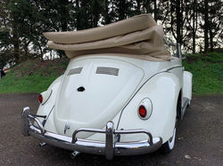 convertible classic beetle