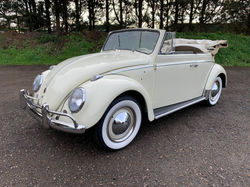 classic convertible beetles