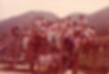 Troop Camp at Tai Tam - 1980 - 2.jpg