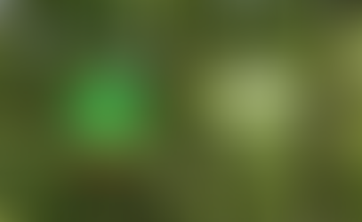 Reparlux y Plant-for-the-Planet: Juntos por un Futuro más Verde