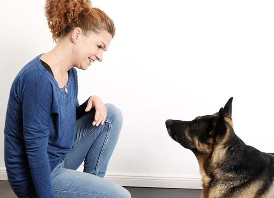 alt="tierheilpraxis tierheilpraktiker naturheilpraxis für tiere hund im mittelpunkt osteopathie physiotherapie tierphysiotherapie tierosteopathie tierhomöpathie tierakupunktur radionik haaranalyse bioresonanz frequenztherapie münnerstadt schweinfurt bad kissingen bad neustadt mellrichstadt bad königshofen"