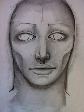 2013_HumanVessel.jpg