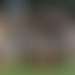 TRAINERS WANTED – MITCHAM FC