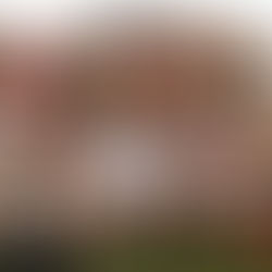 “AN INCREDIBLE THREE-WEEK RUN” – WINTERTON