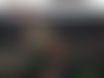 BAYSWATER – SEASON REVIEW