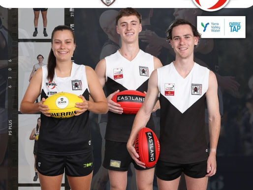 InFocus 2023 | Ringwood