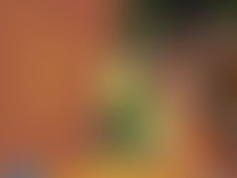 STARTING FROM SCRATCH