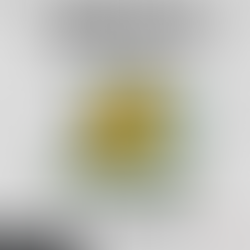 TRANSFER WRAP – MOOROOLBARK