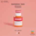 Chugoku Bannoh 500 สีชูโกกุ แบนนอร์ 500 รองพื้นอีพ็อกซี่และสีกันเพรียง