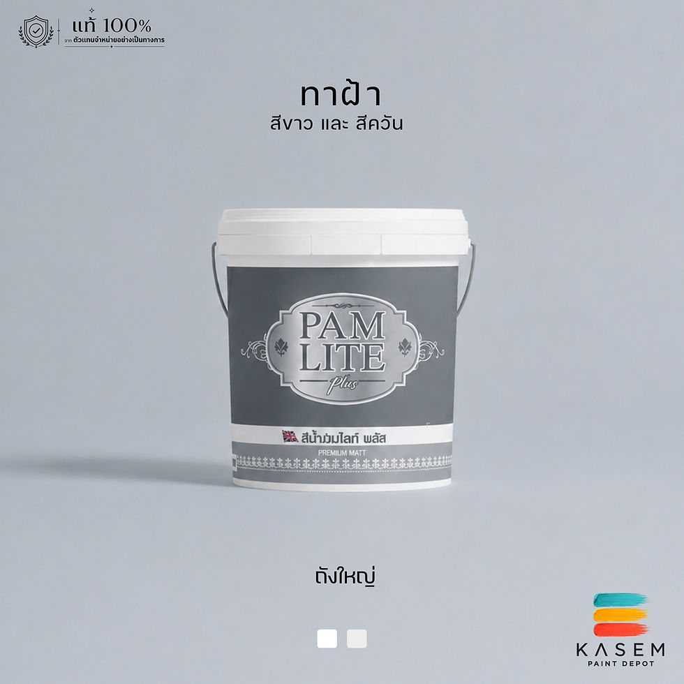 สีทาฝ้าปามมาสติก ปามไลท์ สีขาว Pammastic Pamlite White AM888 ถัง 18.925 ลิตร