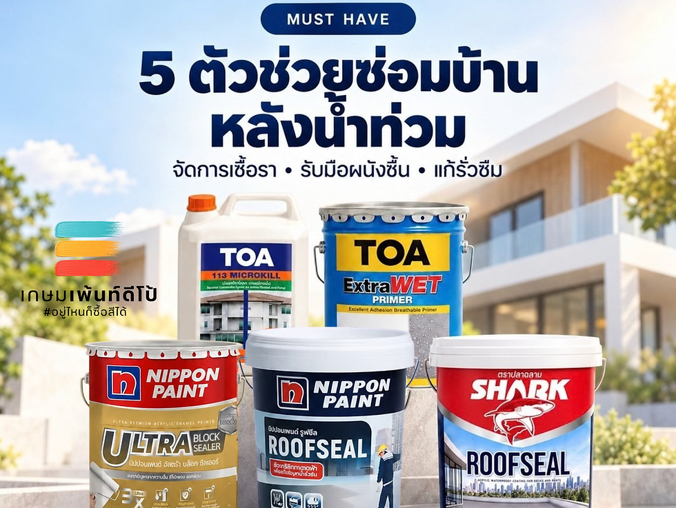 ซ่อมบ้านหลังน้ำท่วม : 5 ตัวช่วยกำจัดเชื้อรา รับมือผนังชื้น และแก้รั่วซึม