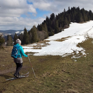 What is the Greenhouse Effect? Climate Change