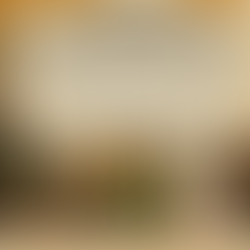 The Unequal Burden: Climate Change’s Impact on Black Communities + Solutions