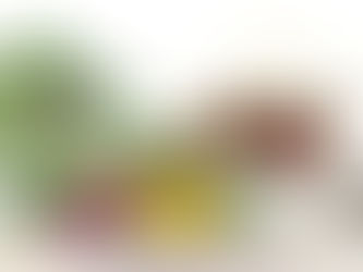 Wildkräuter für den Salat