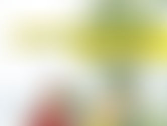 Ausbildung mit Zukunft: Bäuerin/bäuerlicher Haushaltsleiter