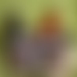 Konfi und Chutneys, Punsch