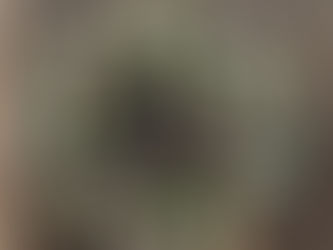 Delegiertenversammlung 2023