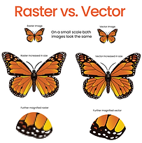 Raster vs Vector