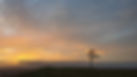 20220130_164551.jpg