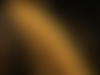 Yellow Maize Specifications Explained