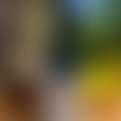 Florais AlkhemyLab, by Joel Aleixo: A Alquimia das Flores